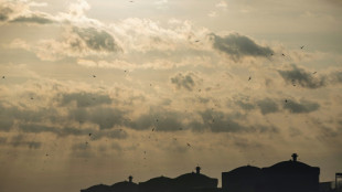 A l'Assembl&eacute;e, bataille en vue autour de la relance du nucl&eacute;aire 