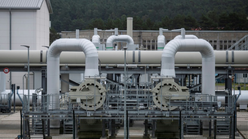 Alemania busca a un sospechoso ucraniano en la investigaci&oacute;n del sabotaje del gasoducto ruso Nord Stream