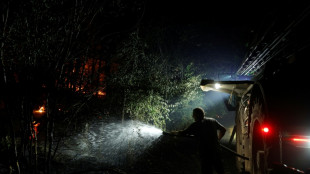 Deux Canadair envoy&eacute;s pour lutter contre l'incendie hors norme de la for&ecirc;t de Fontainebleau