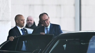 L'Allemagne de Merz fait le pari du "No limit" pour se r&eacute;armer