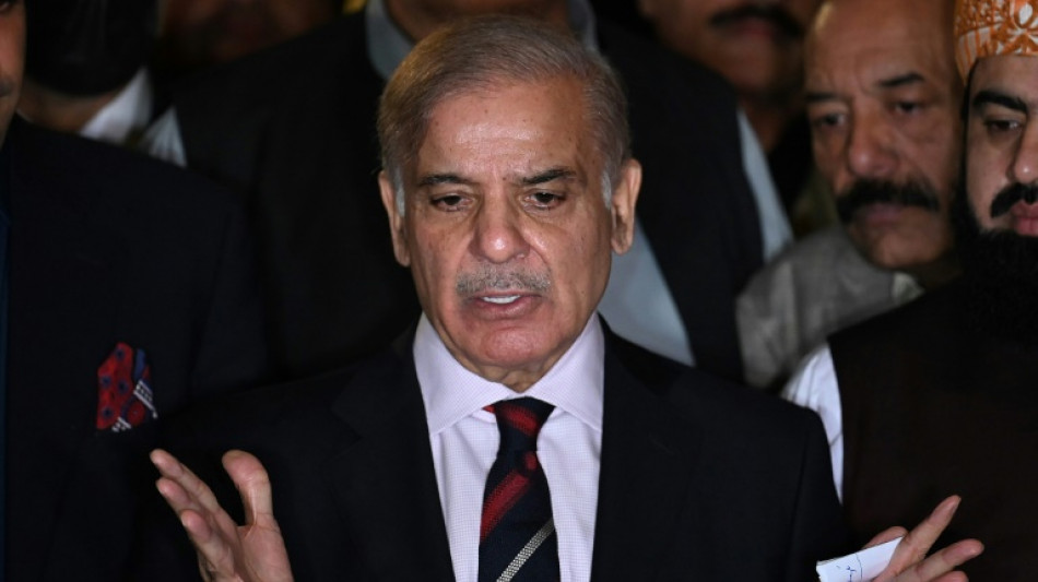 Shehbaz Sharif, elegido primer ministro de Pakist&aacute;n 