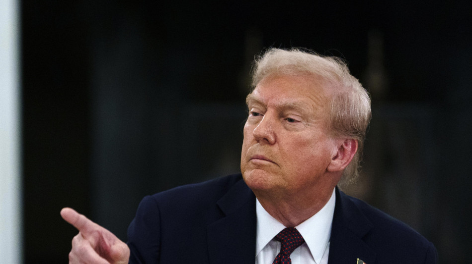 Trump, 'blitz Hyundai? Erano entrati in Usa illegalmente'