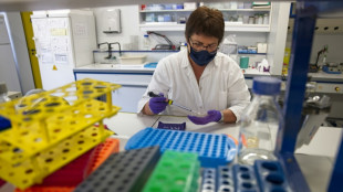 Los cient&iacute;ficos insisten en la v&iacute;a de las vacunas nasales contra el covid-19