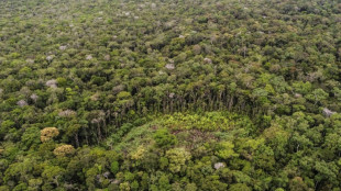 Colombie: d&eacute;forestation en baisse en 2023
