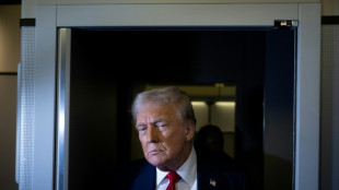 Tariffs: Economic 'liberation' or straitjacket?