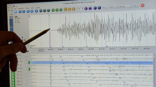 Dall'IA la musica dei terremoti, i tracciati diventano note