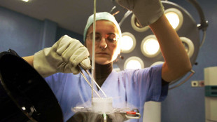 Fertilit&agrave;, cresce del 50% numero donne che congelano ovociti