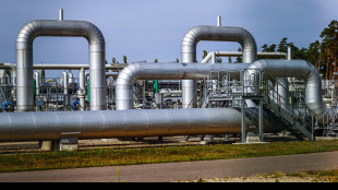 Il prezzo del gas apre in lieve rialzo a 33,14 euro