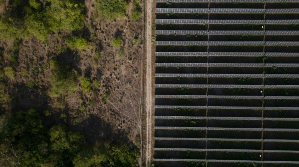Colombia acoge una cita in&eacute;dita para salir de los combustibles f&oacute;siles