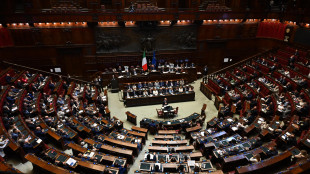Parlamento in seduta comune su giudice del Csm,verso fumata nera