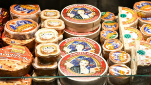 Apr&egrave;s les vins, les fromages fran&ccedil;ais "vigilants" face &agrave; la menace de taxes am&eacute;ricaines