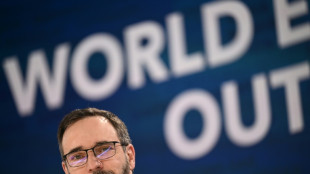 Le FMI mod&eacute;r&eacute;ment optimiste pour l'&eacute;conomie mondiale dans ses pr&eacute;visions pour 2025