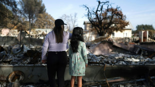 Le d&eacute;fi de reconstruire les milliers de maisons incendi&eacute;es &agrave; Los Angeles