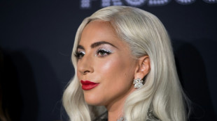 Weitere Haftstrafe nach &Uuml;berfall auf Lady Gagas Hundesitter