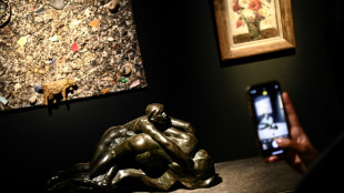 Franz&ouml;sischer Filmstar G&eacute;rard Depardieu verkauft Gro&szlig;teil seiner Kunststammlung