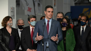 Condenan a 7,5 a&ntilde;os de c&aacute;rcel a un espa&ntilde;ol que amenaz&oacute; con asesinar a Pedro S&aacute;nchez