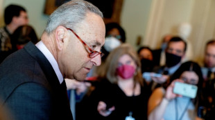 US-Senat stimmt f&uuml;r Gesetz zur St&auml;rkung von Schl&uuml;sselindustrien im Wettbewerb mit China