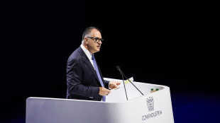 Orsini, 'serve investire e credere nell'energia nucleare'