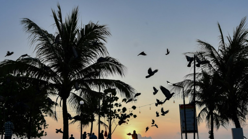 Maldivas proh&iacute;be la entrada de turistas israel&iacute;es en protesta por la guerra en Gaza