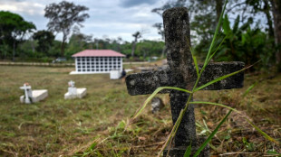 Cruz Roja construye pante&oacute;n para migrantes en la inh&oacute;spita selva de Panam&aacute;