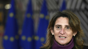 Espa&ntilde;a garantiza que el gas enviado a Marruecos no provendr&aacute; de Argelia