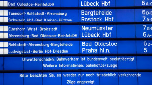 Bahnverkehr in Deutschland bleibt nach Sturm weiter stark beeintr&auml;chtigt