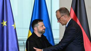 Europ&auml;ische Unterst&uuml;tzer der Ukraine halten Videokonferenz ab