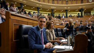 Pedro S&aacute;nchez defiende la gesti&oacute;n del Gobierno espa&ntilde;ol ante las inundaciones