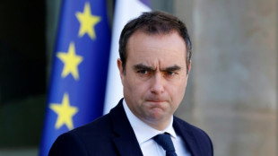 French defence minister to host key European counterparts on Ukraine