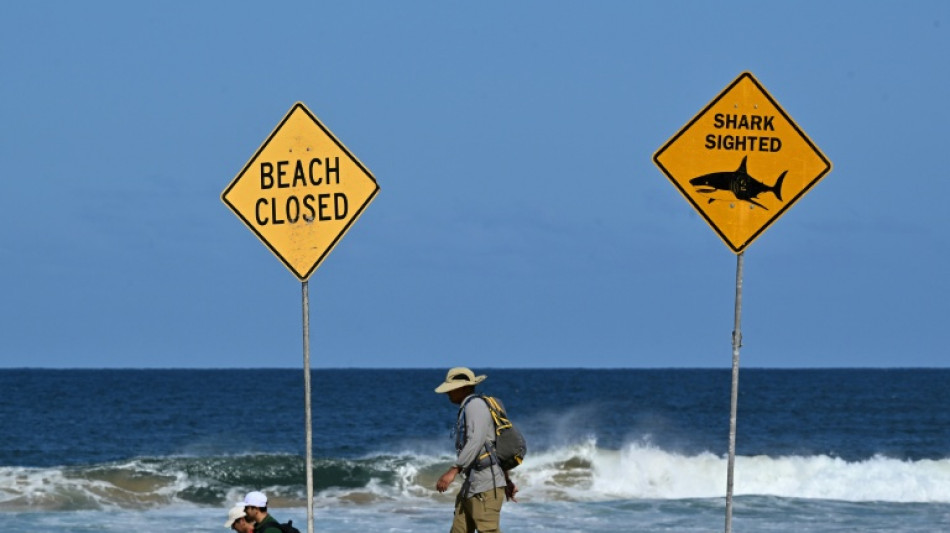 Australia fends off shark bites with new tech and old