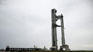 SpaceX postpones highly anticipated Starship launch