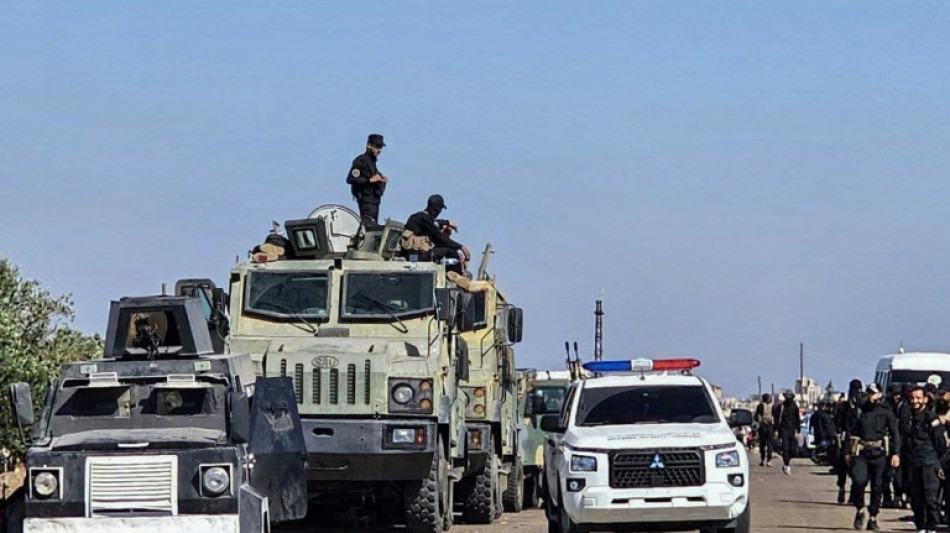 Syrie: Isra&euml;l bombarde les forces gouvernementales dans une ville druze