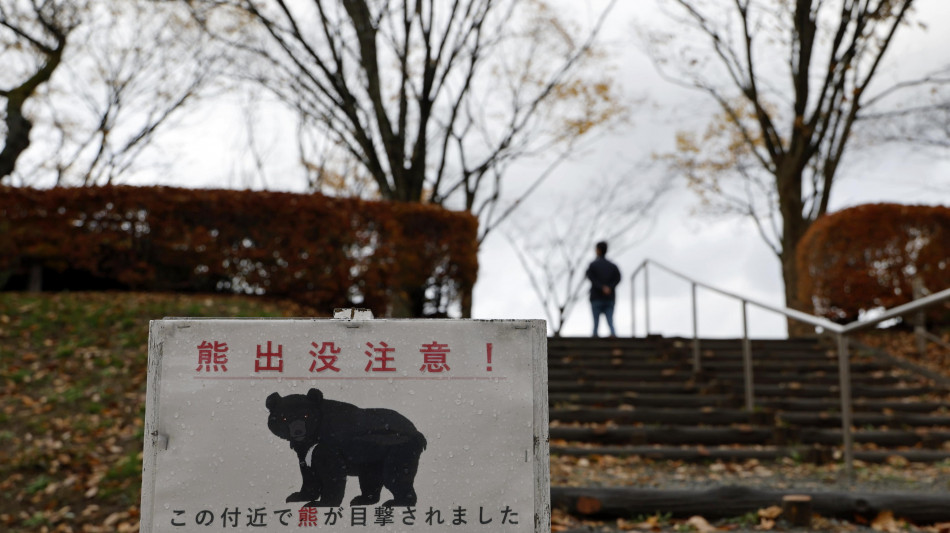 Allarme orsi in Giappone: uno cade in mare da un peschereccio, uno sotto un treno