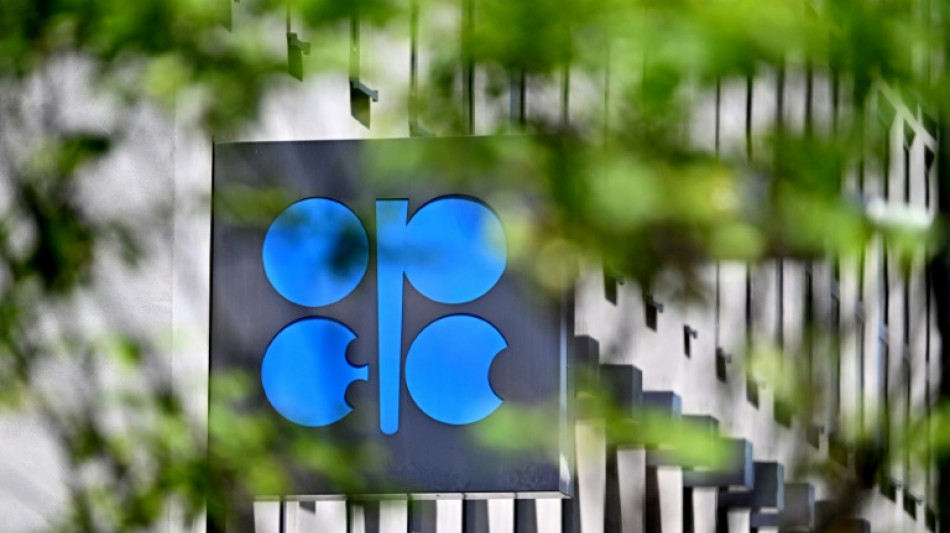 OPEC+ expected to open taps more despite price slump