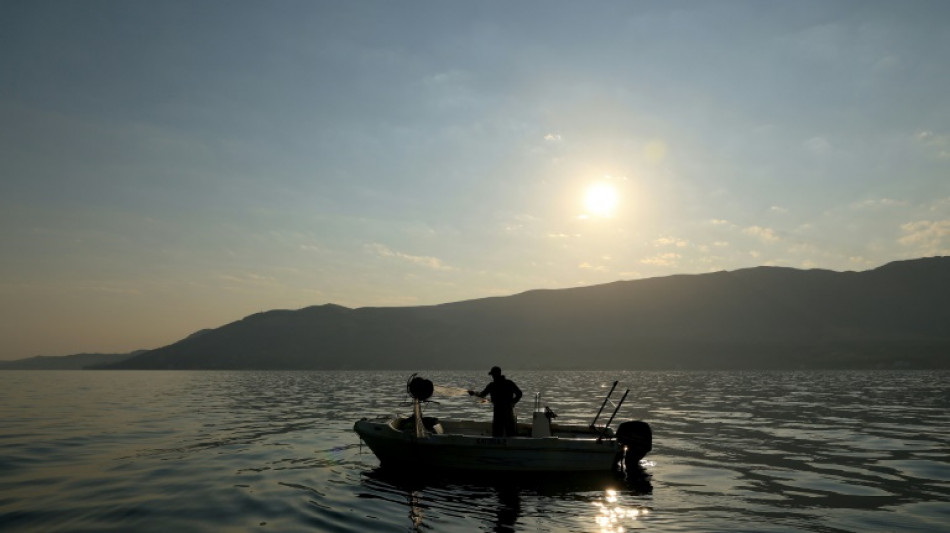 'I lost my battle': warming sea killing Albania fishing 