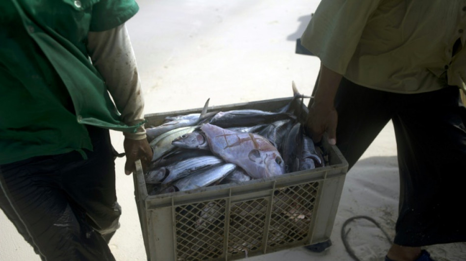 CIJ rejeita reivindica&ccedil;&otilde;es da Nicar&aacute;gua em disputa mar&iacute;tima contra a Col&ocirc;mbia