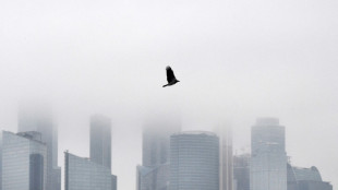 Wirtschaft f&uuml;rchtet Belastung durch Sanktionspolitik - und sagt Unterst&uuml;tzung zu