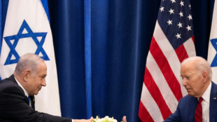 Biden, Netanyahu finally meet to smooth over 'concerns'