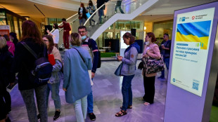 El idioma, el principal obst&aacute;culo de los ucranianos que buscan trabajo en Alemania