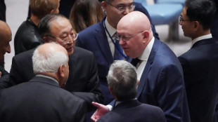 El Consejo de Seguridad de la ONU rechaza con el veto de EEUU una resoluci&oacute;n sobre el conflicto Israel-Ham&aacute;s