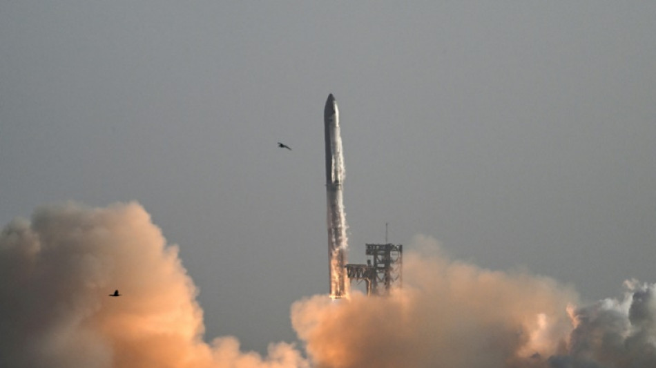 Una ciudad para la base espacial de Elon Musk a punto de ser realidad