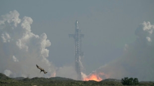 SpaceX's enormous Starship splashes down after test flight