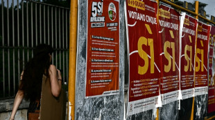 Echec d'un r&eacute;f&eacute;rendum en Italie sur la naturalisation et le droit du travail