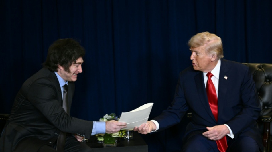 Milei chez Trump pour sceller l'aide financi&egrave;re am&eacute;ricaine &agrave; l'Argentine