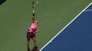 Alcaraz romps into US Open fourth round, Rybakina advances