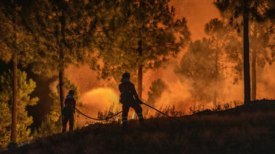 Waldbr&auml;nde in Portugal und Spanien weitgehend unter Kontrolle