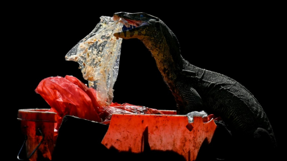 Quantos micropl&aacute;sticos h&aacute; no corpo? Pesquisadores tentam p&ocirc;r fim ao debate