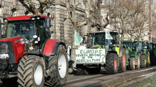 Mercosur: des milliers d'agriculteurs protestent devant le Parlement europ&eacute;en