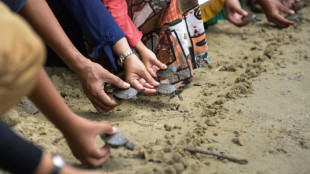 La COP-19 au secours des tortues d'eau douce et des "grenouilles de cristal"