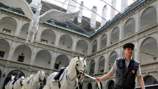 Vienna's Spanish Riding School probed over animal abuse claims